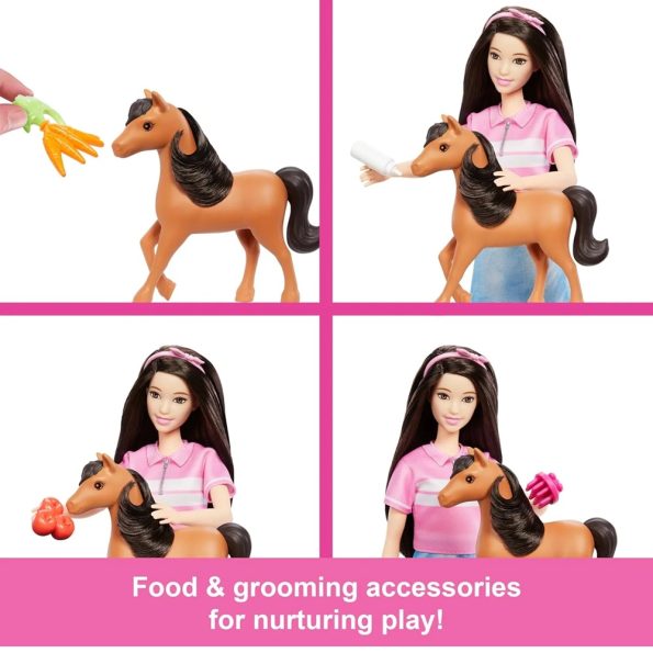 Barbie Playset Cuidado de Ponys con Renee