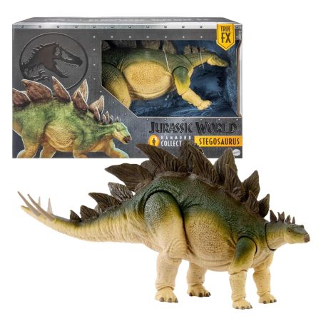 JW Hammond Collection, Stegosaurus