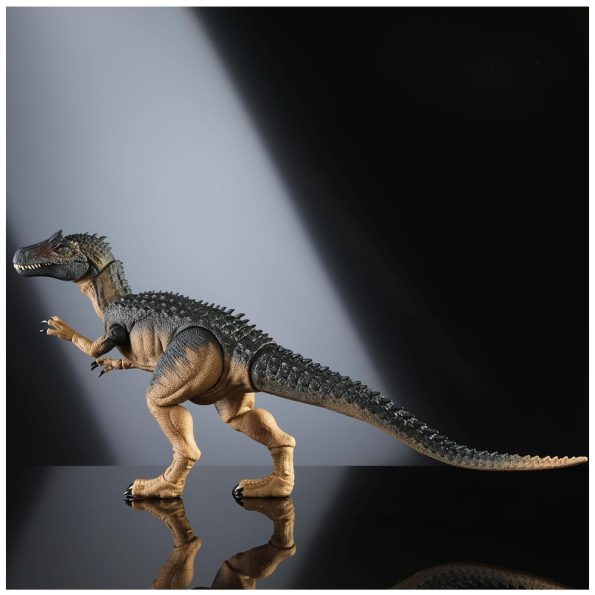 JW Hammond Collection, Allosaurus