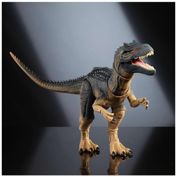 JW Hammond Collection, Allosaurus