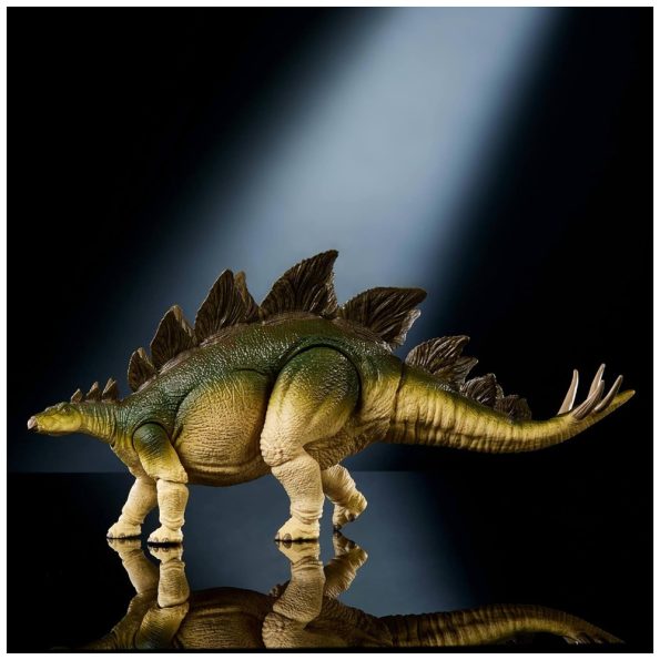 JW Hammond Collection, Stegosaurus