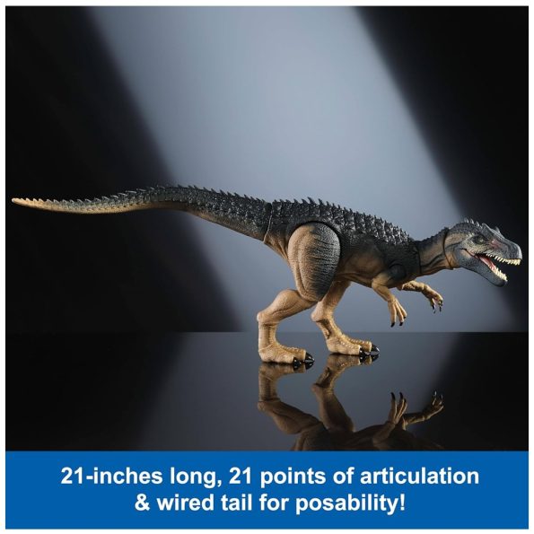JW Hammond Collection, Allosaurus