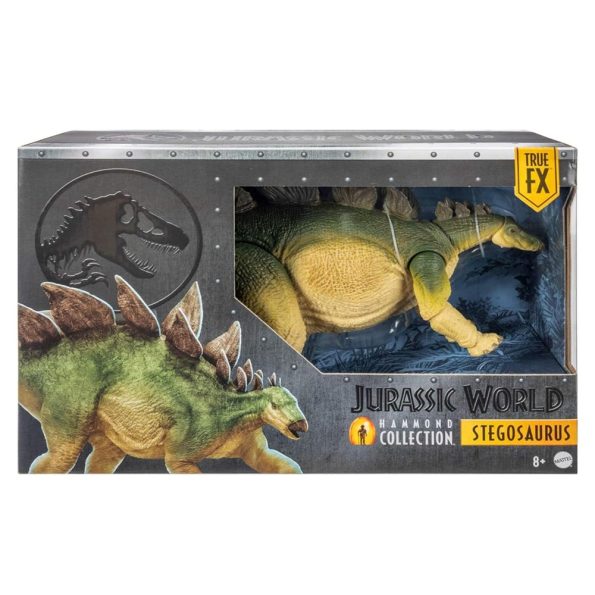 JW Hammond Collection, Stegosaurus
