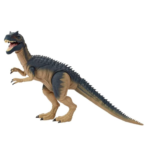 JW Hammond Collection, Allosaurus