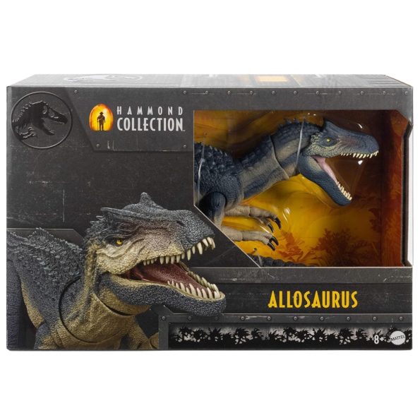 JW Hammond Collection, Allosaurus