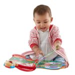 fisher libro abc perrito